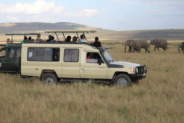 Safaris Vehicles