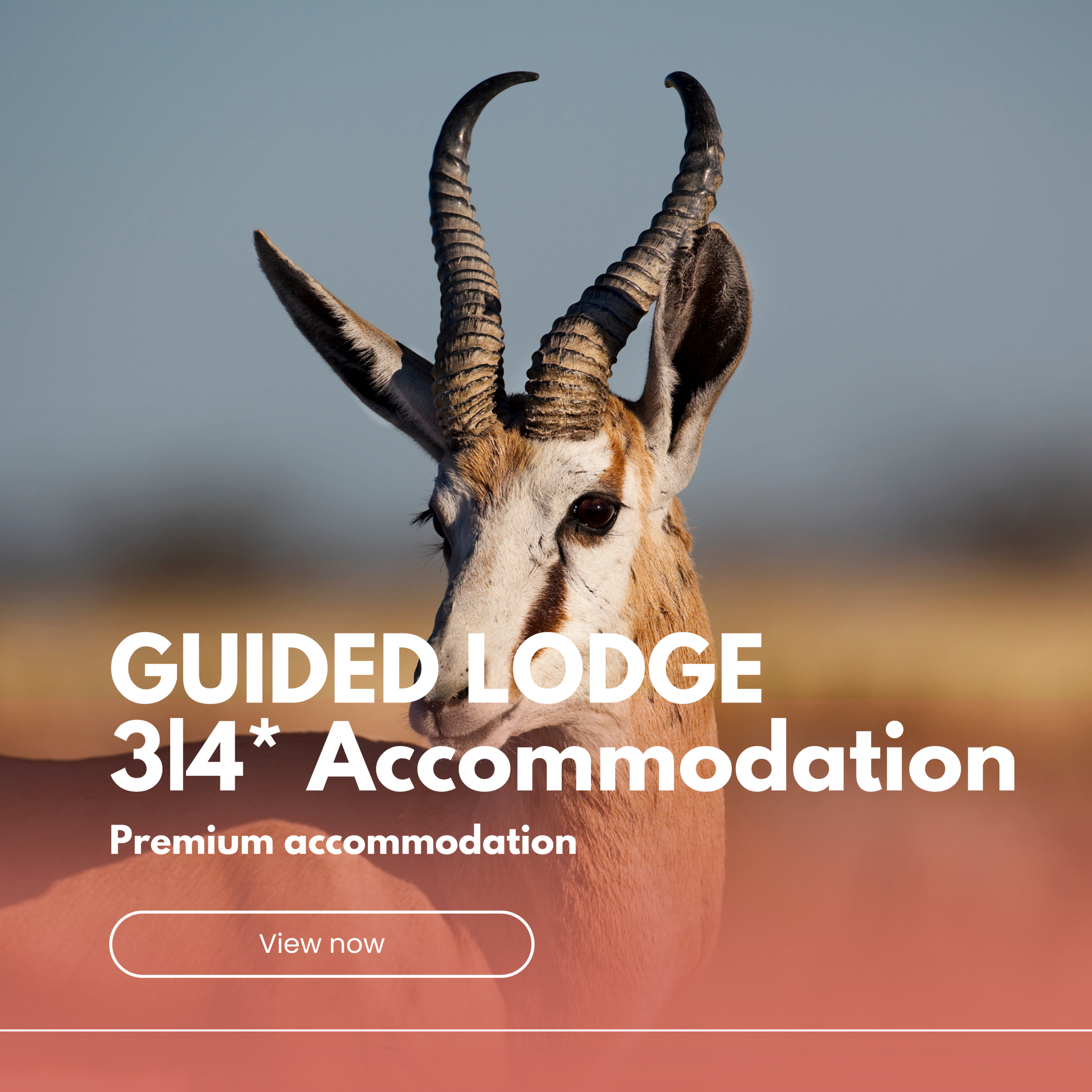 Guided | Lodge